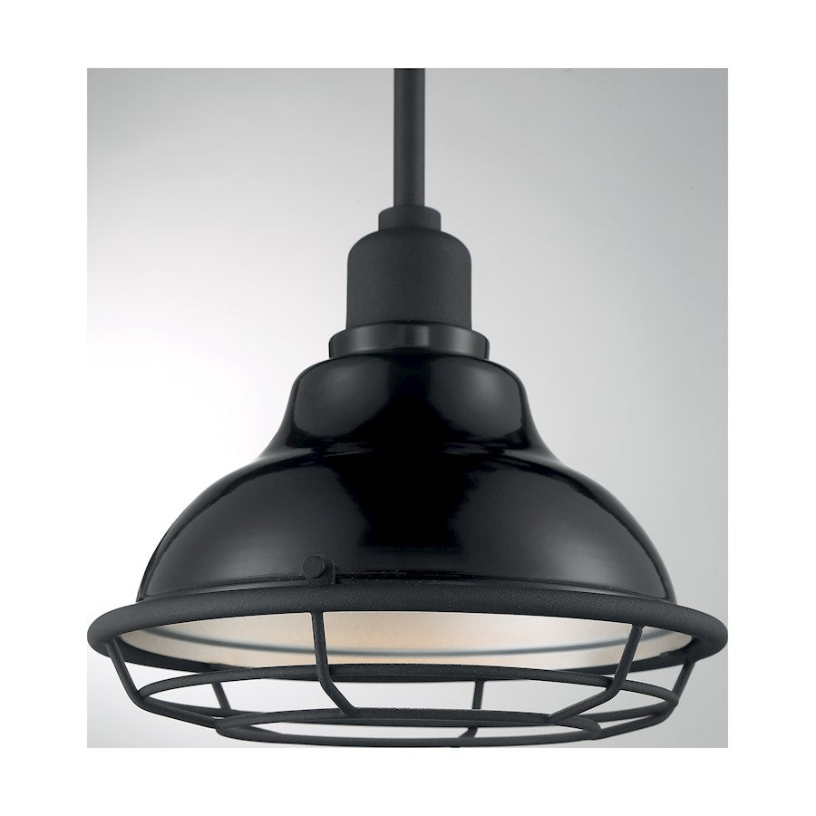 1 Light Pendant