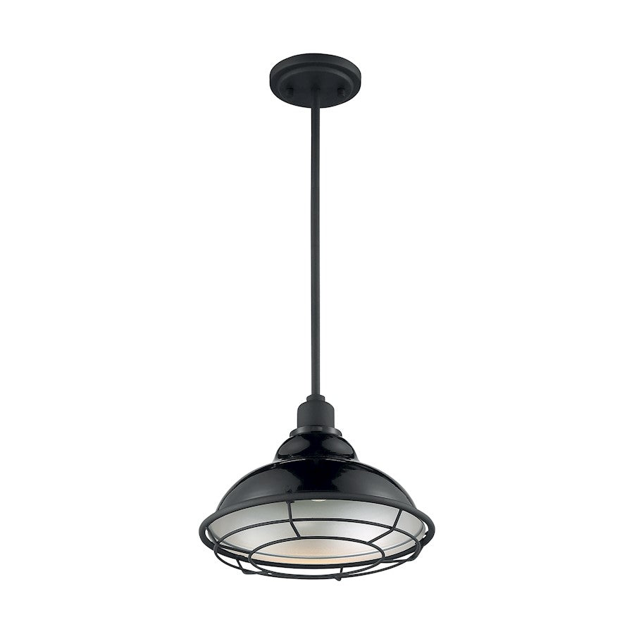 1 Light Pendant