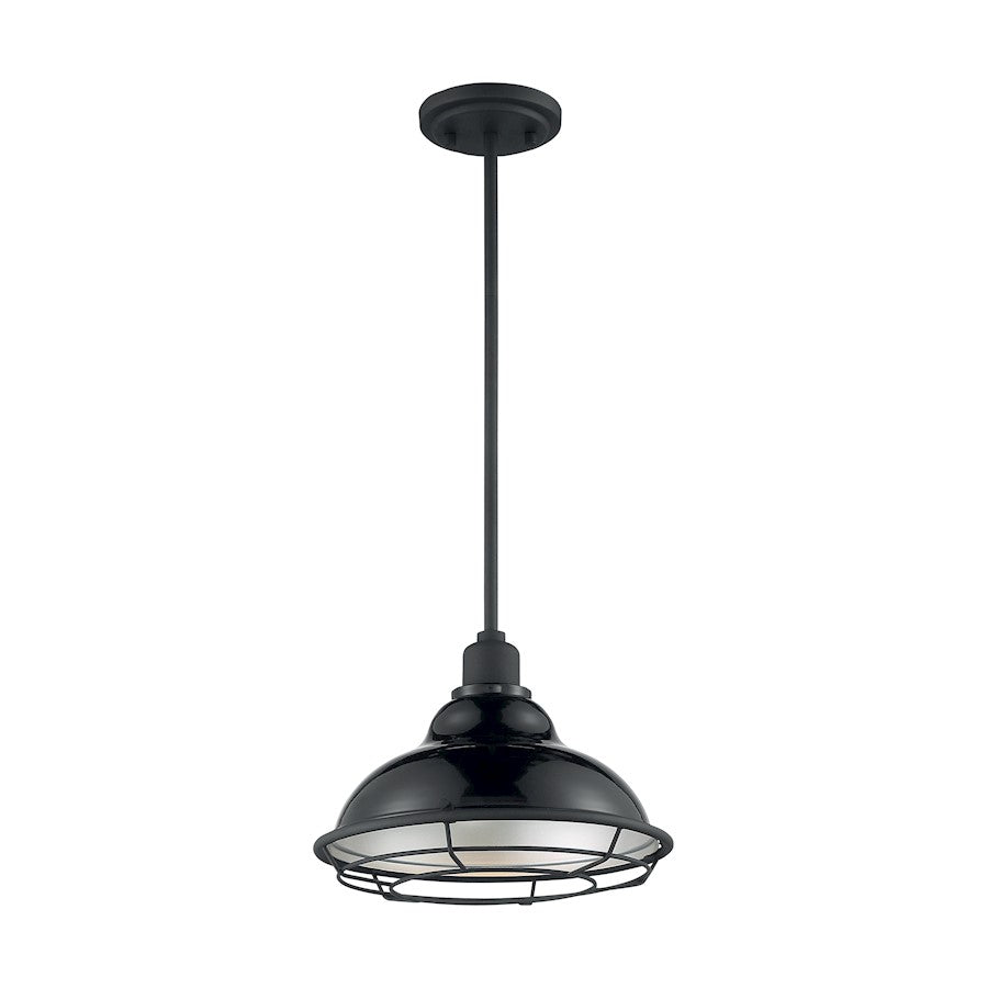 1 Light Pendant