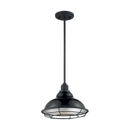 1 Light Pendant