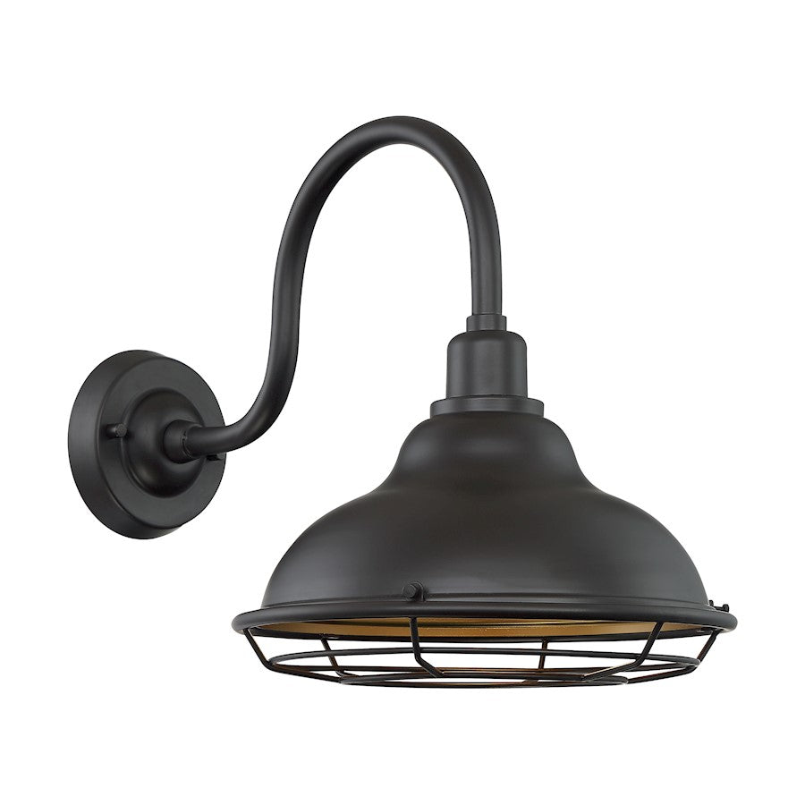 1 Light Wall Sconce