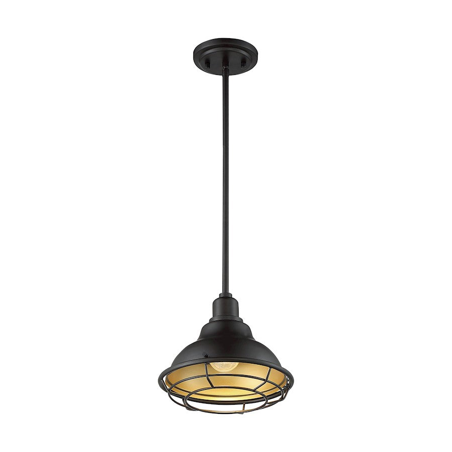 1 Light Pendant