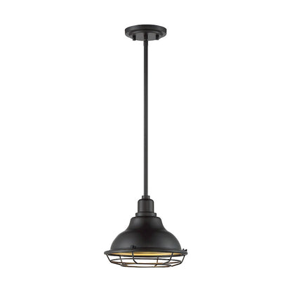 1 Light Pendant