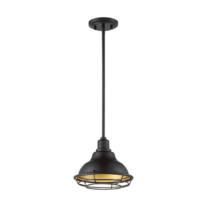 1 Light Pendant