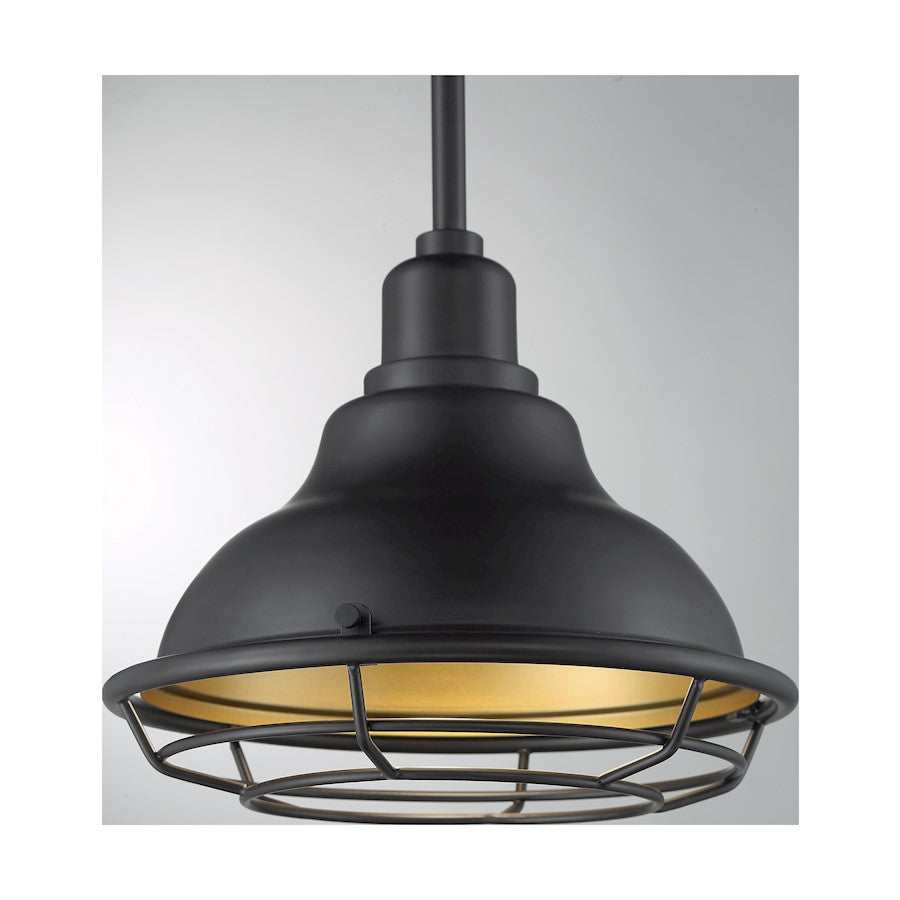 1 Light Pendant