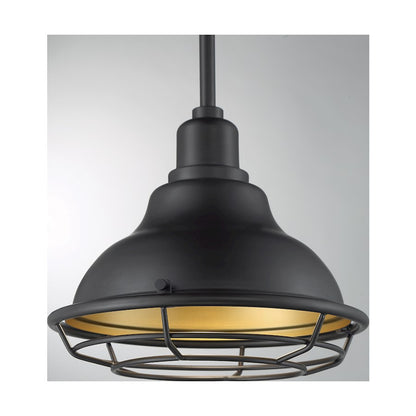 1 Light Pendant