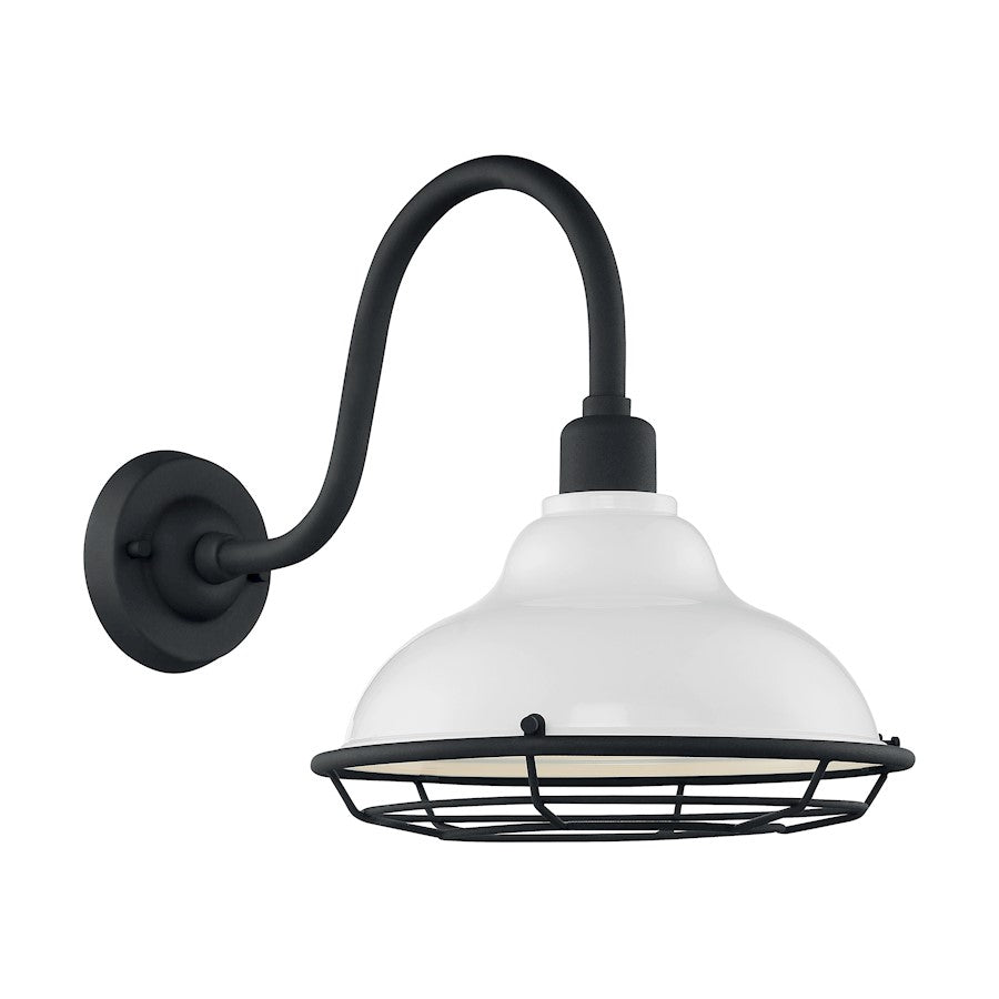 1 Light Wall Sconce