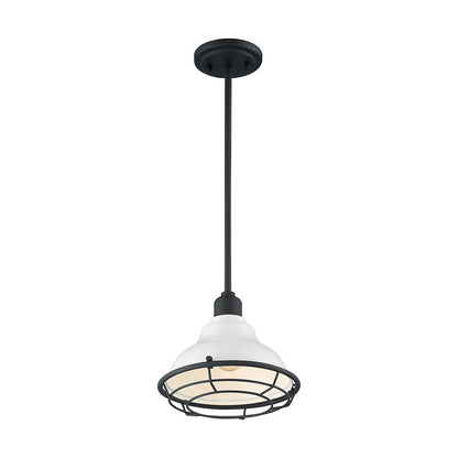 1 Light Pendant