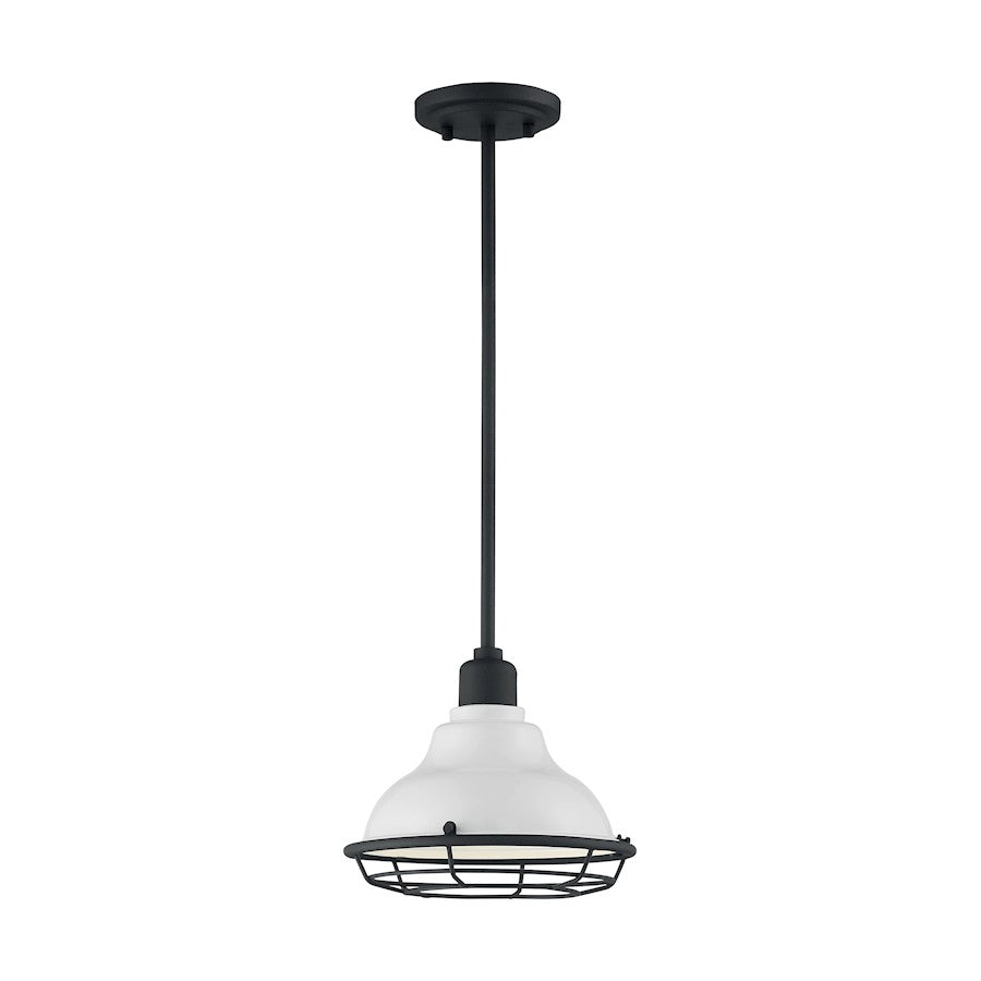 1 Light Pendant
