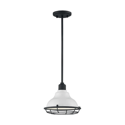 1 Light Pendant