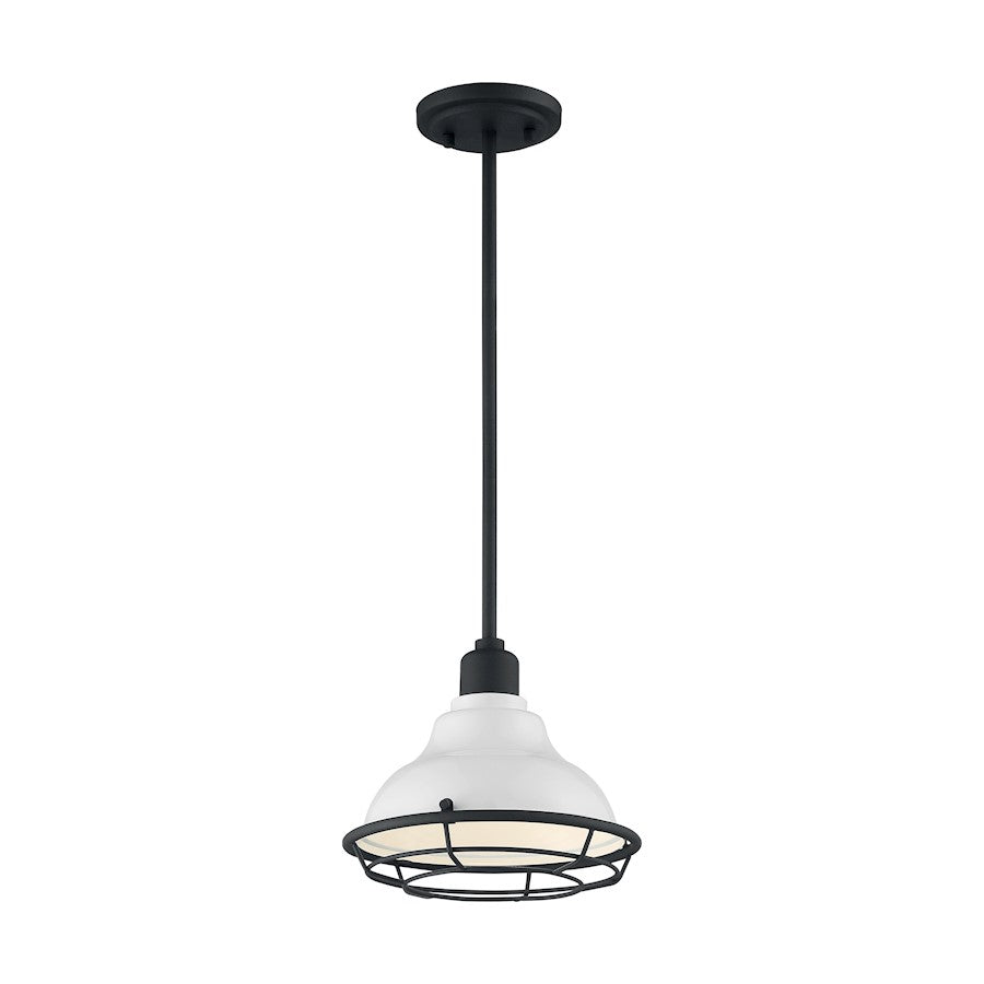 1 Light Pendant
