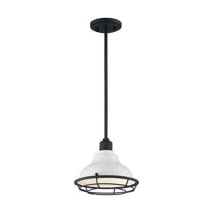 1 Light Pendant