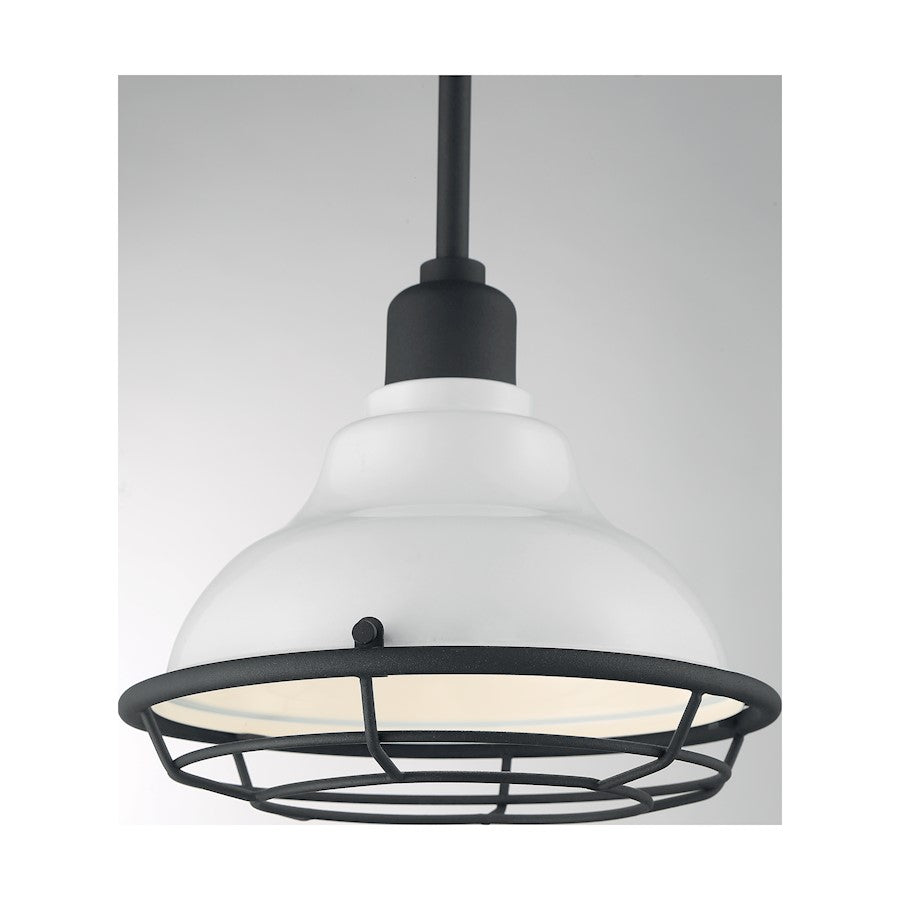 1 Light Pendant