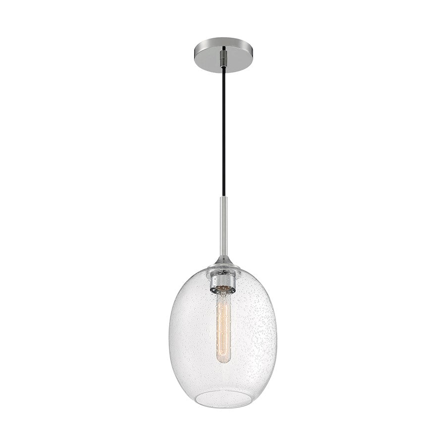 1 Light Pendant