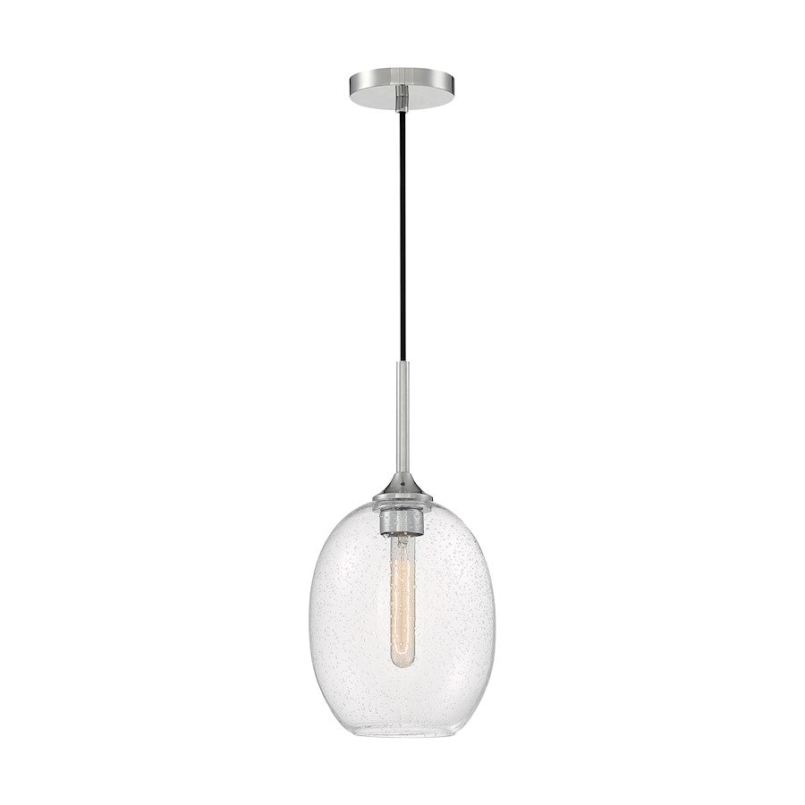 1 Light Pendant