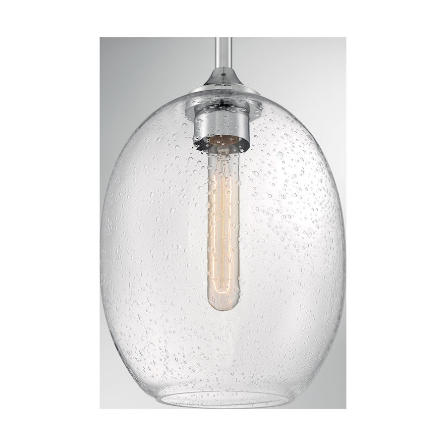 1 Light Pendant