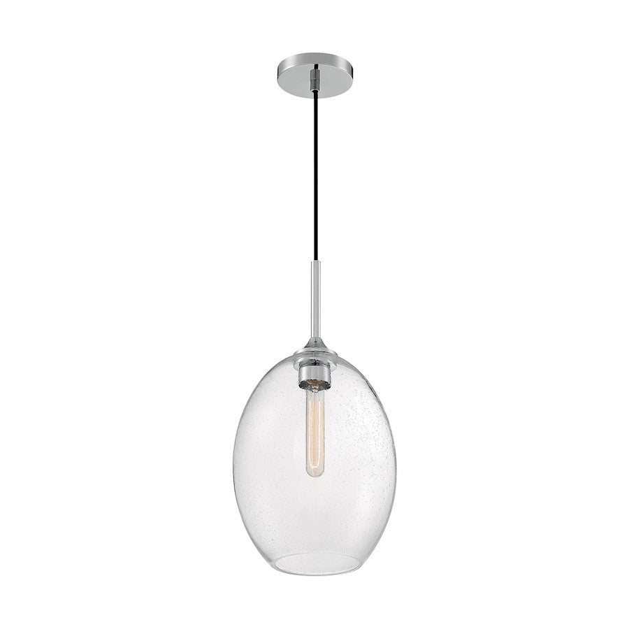 1 Light Pendant