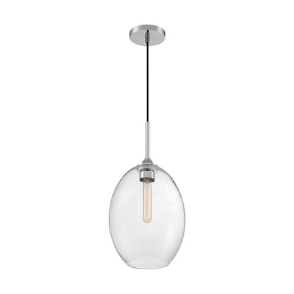 1 Light Pendant