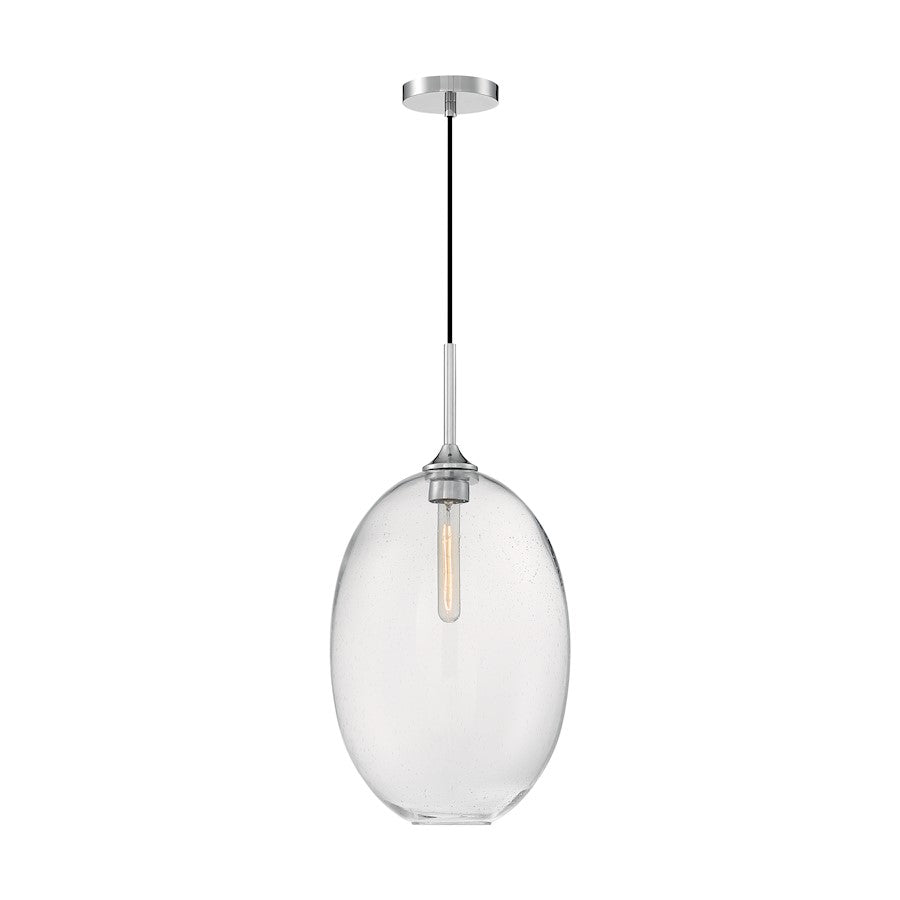 1 Light Pendant