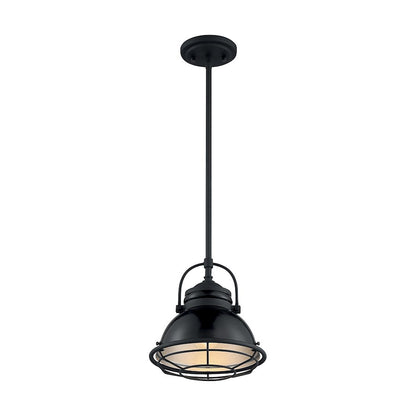 1 Light Pendant