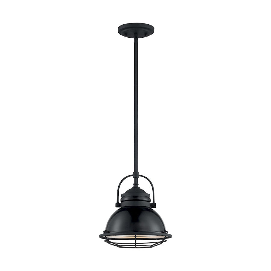 1 Light Pendant