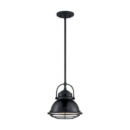 1 Light Pendant