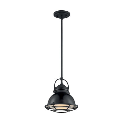 1 Light Pendant