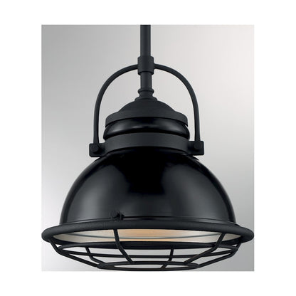 1 Light Pendant