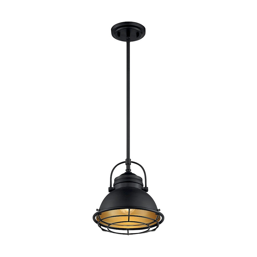 1 Light Pendant