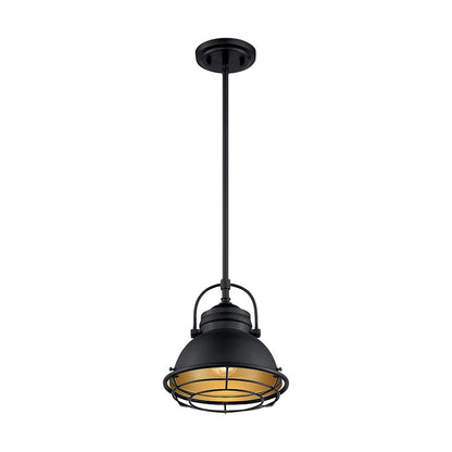 1 Light Pendant