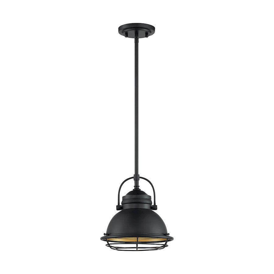 1 Light Pendant