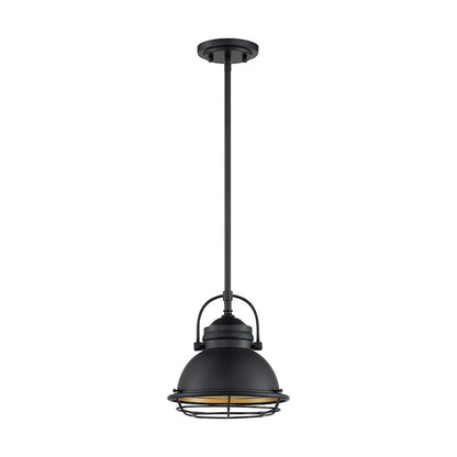 1 Light Pendant