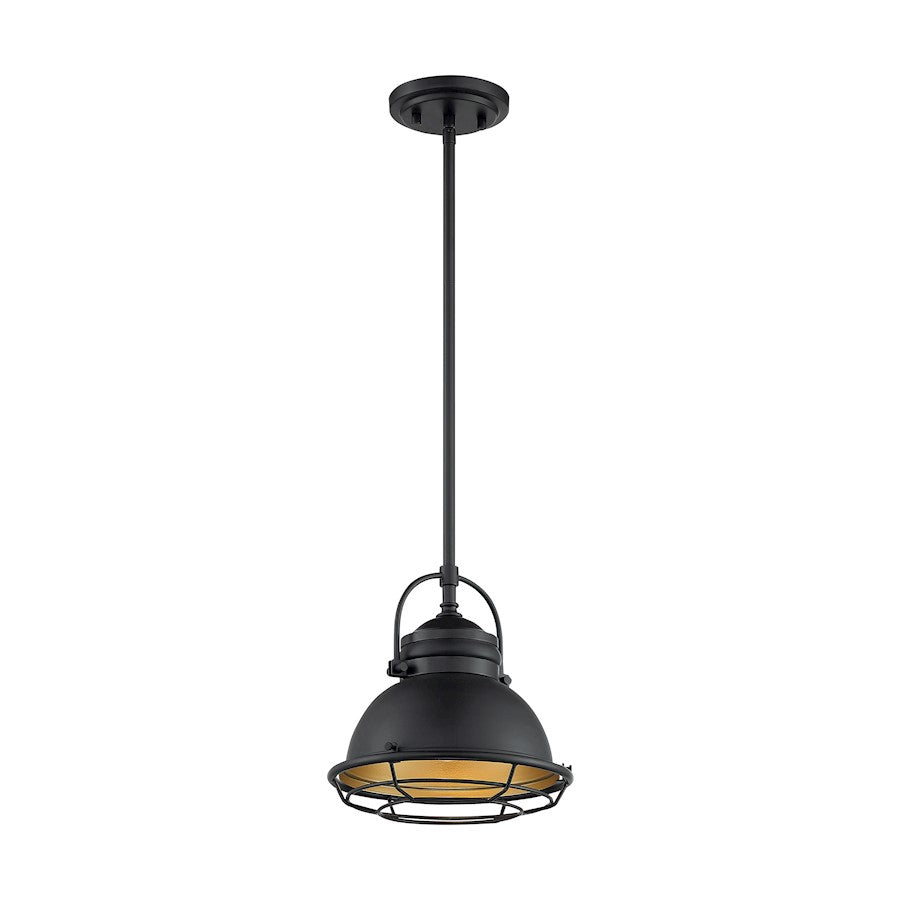 1 Light Pendant