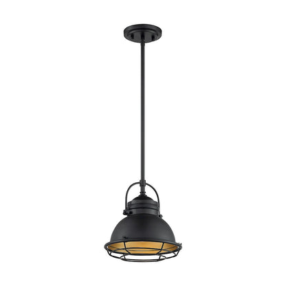 1 Light Pendant