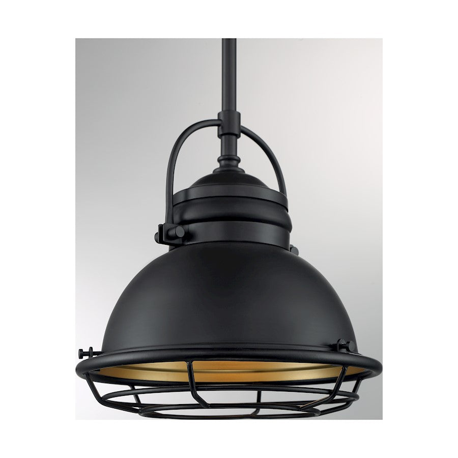 1 Light Pendant