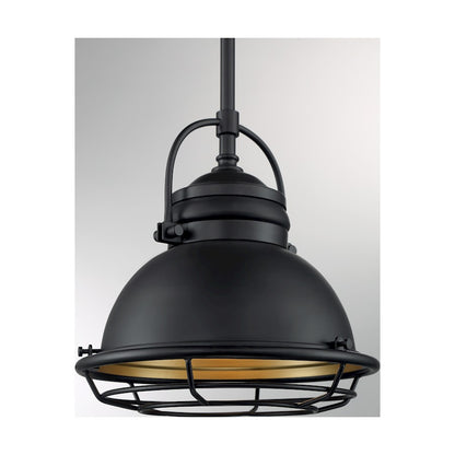 1 Light Pendant
