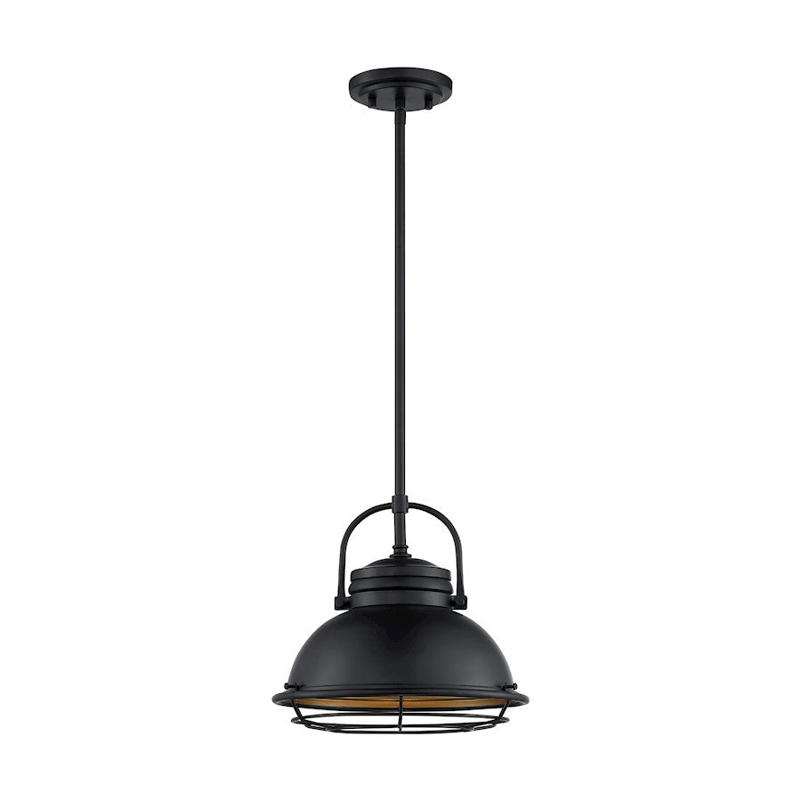 Nuvo Lighting Upton 12in 1-Light Pendant | Nautical & Coastal Dark Bronze and Gold | Kitchen Island & Dining Room | Damp Rated, 12 x 12 x | Model 60-7074