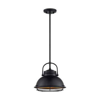 Nuvo Lighting Upton 12in 1-Light Pendant | Nautical & Coastal Dark Bronze and Gold | Kitchen Island & Dining Room | Damp Rated, 12 x 12 x | Model 60-7074