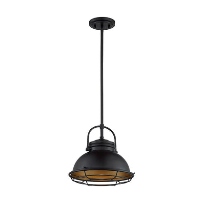 Nuvo Lighting Upton 12in 1-Light Pendant | Nautical & Coastal Dark Bronze and Gold | Kitchen Island & Dining Room | Damp Rated, 12 x 12 x | Model 60-7074