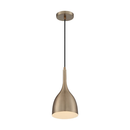 1 Light Pendant