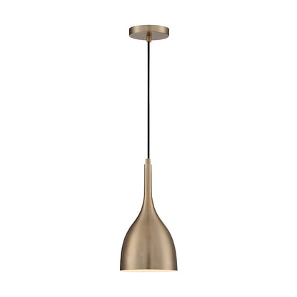 1 Light Pendant