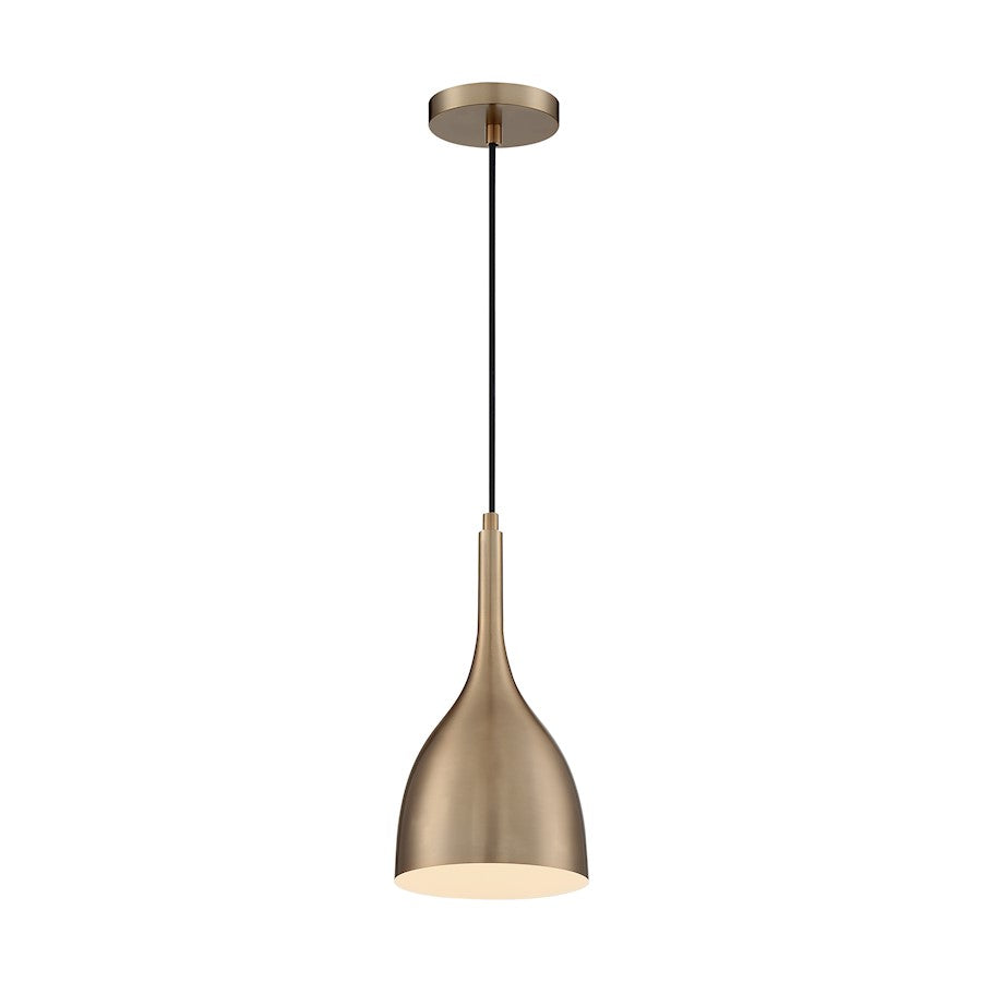 1 Light Pendant