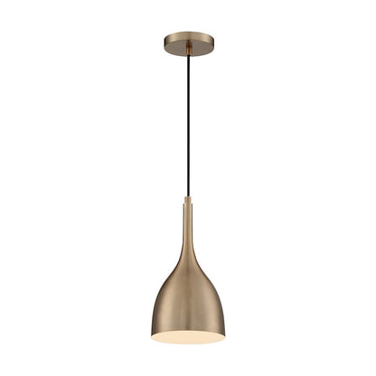 1 Light Pendant