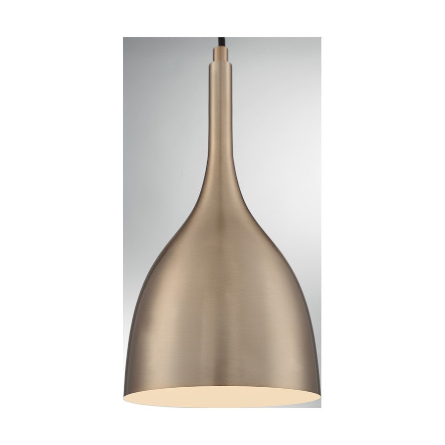 1 Light Pendant
