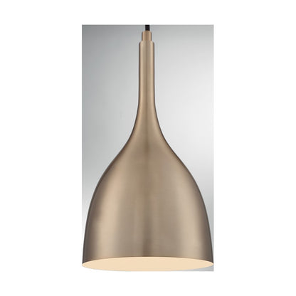 1 Light Pendant