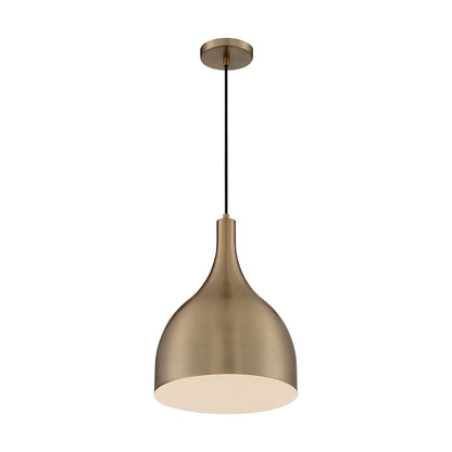 1 Light Pendant