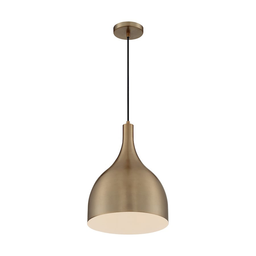 1 Light Pendant