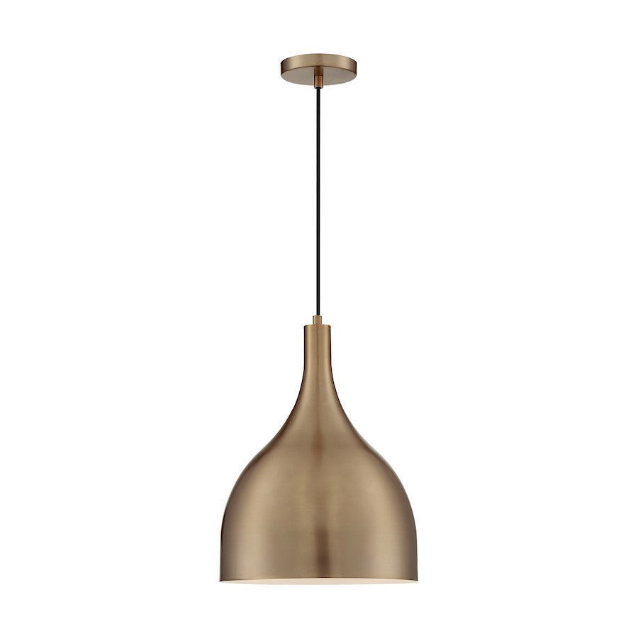 1 Light Pendant