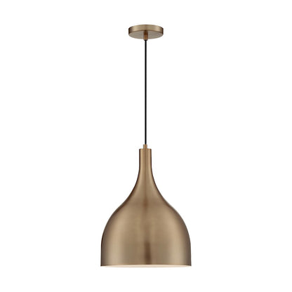 1 Light Pendant