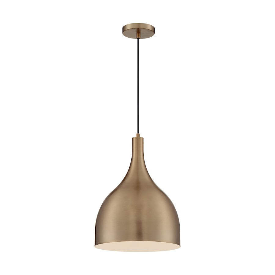 1 Light Pendant